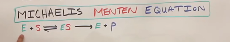 E代表酶, S代表底物, 酶和底物反应形成酶底物混合物, 酶底复合物会分解为酶和产物